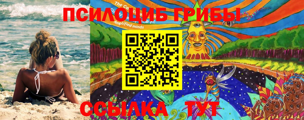 Кириши  Псилоцибиновые грибы Psilocybe  купить наркотики цена  Вход с VPN 